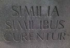 Yverdon Homéopathie Dr Frischknecht